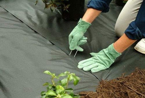 AAGUT Garden Stakes Pins, Landscape Staples 250 Pack 6 Inch 11-Gauge Galvanized Lawn Stake for Dog Fence, Weed Barrier Fabric, Ground Cover, Irrigation Tubing Soaker Hose, Chicken Wire