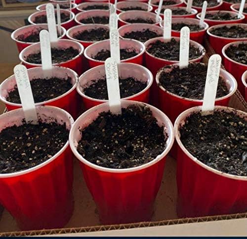 Delatanus 200PCS Plant Labels 4.7inch Plant Markers,White