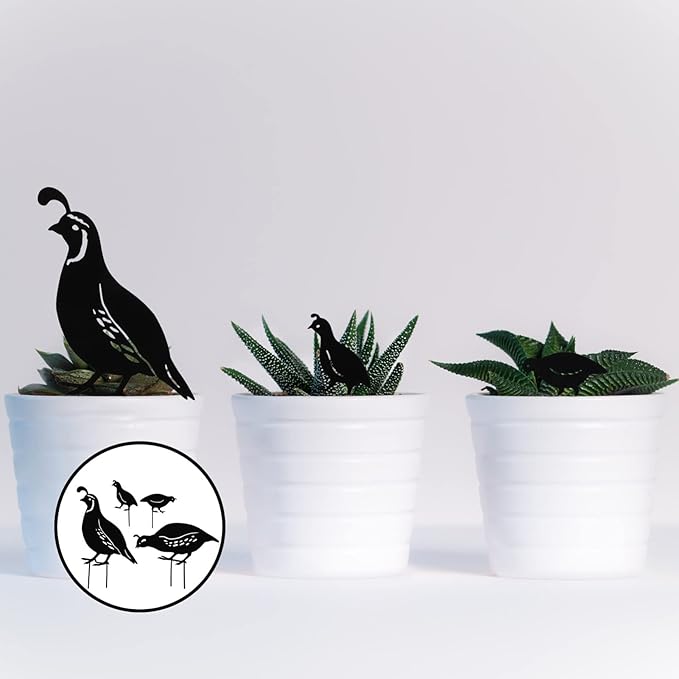 NUOBESTY 4pcs Metal Quail Garden Decorative Statues Standing Metal Quail Lawn Sculptures Ornaments Metal Quail Art Sculptures for Yard Garden Lawn Decor Animal Outdoor Decorations