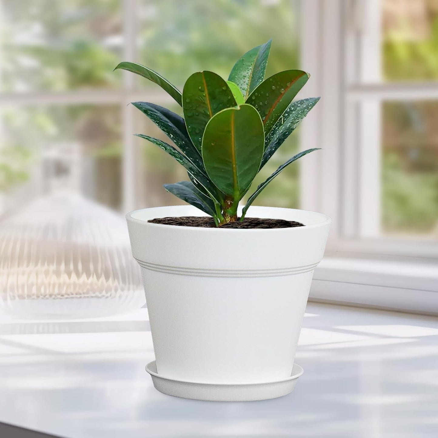 6 inch Plastic Nursery Pots, 16 Pack Plant Pots for Indoor Outdoor Plants, Flower Pots with Drainage Holes and Saucers, Decorative Seedling Starter Planters for House Plants, White