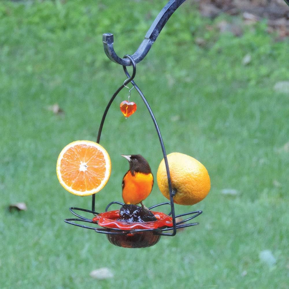 Birds Choice Oriole Bird Feeder | Flower-Shaped Hanging Bird Feeder for Jelly & Orange Halves | Removable Cup & Fruit Pegs with Heart Ornament | Sturdy for Garden & Backyard | 3 oz Capacity, Orange