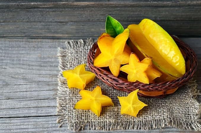 Premium Carambola Potting Soil Mix - Perfect Balance of Nutrients, Drainage, and Aeration for Thriving Starfruit Trees - 20 Quart