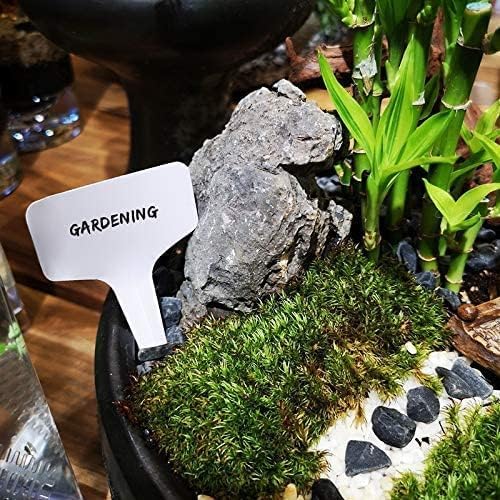KINGLAKE 100 Pcs 6 x10cm Plastic Plant T-Type Tags Nursery Garden Labels