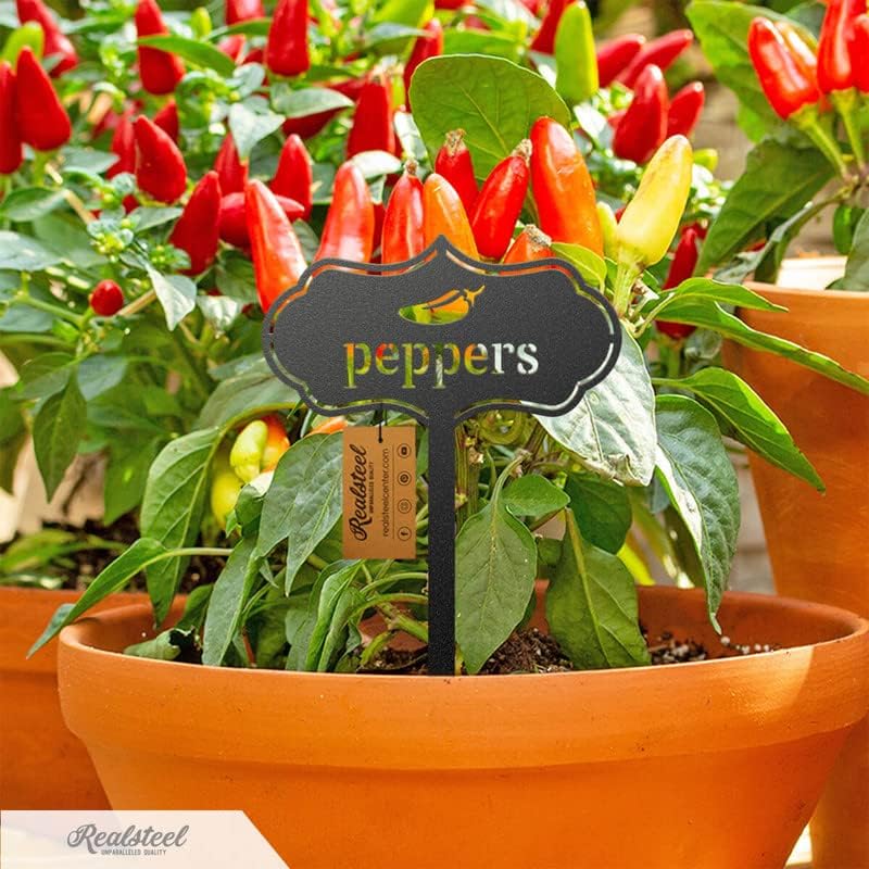 RealSteel - Seed & Plant Markers - Indoor/Outdoor Herb Garden Stakes - Elegant Fruit/Vegetable Seed Labels - Durable Plant Tags for Pots - Classy Design for Farmhouse/Greenhouse (Beans)