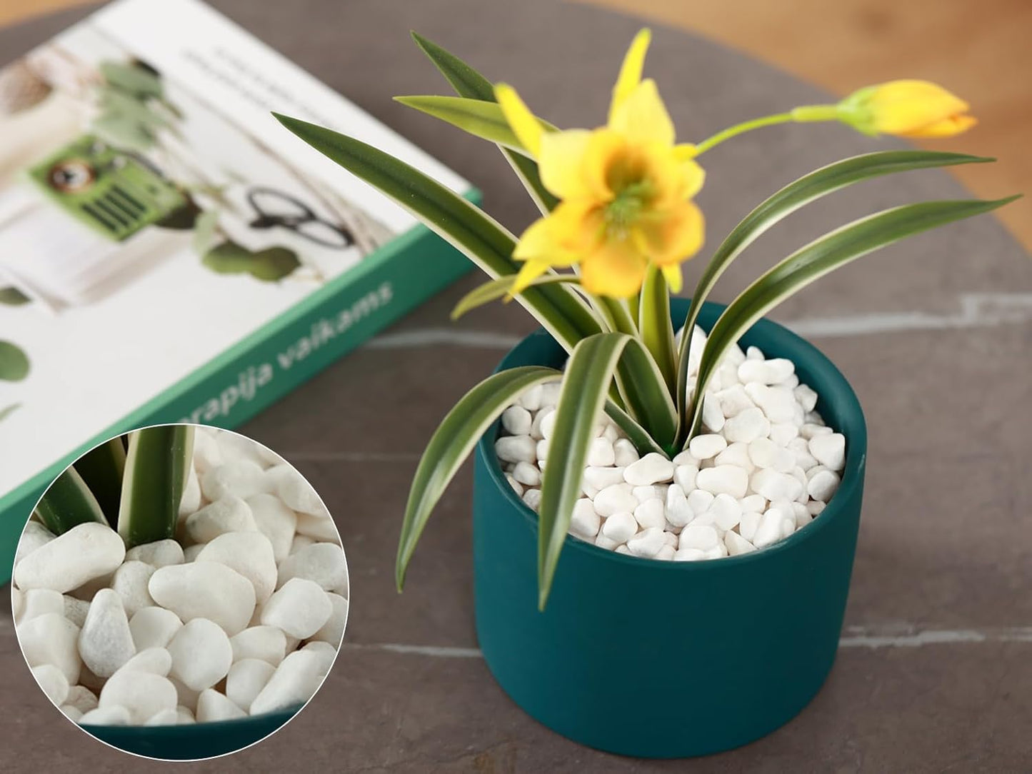 11 Lbs Natural River Rocks for Plants 0.3” Small Decorative Pebbles for Plant Pot Landscaping Garden Stones White Aquarium Gravel, Mini Vase Filler, Terrarium Rocks in Bulk, Home Decor