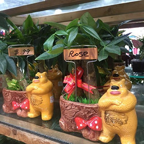 Pack of 30 Copper Plant Labels for Garden, Metal Plant Markers Nameplate, Plant Tags for Outdoor and Potted Plants (5" x 2.6")