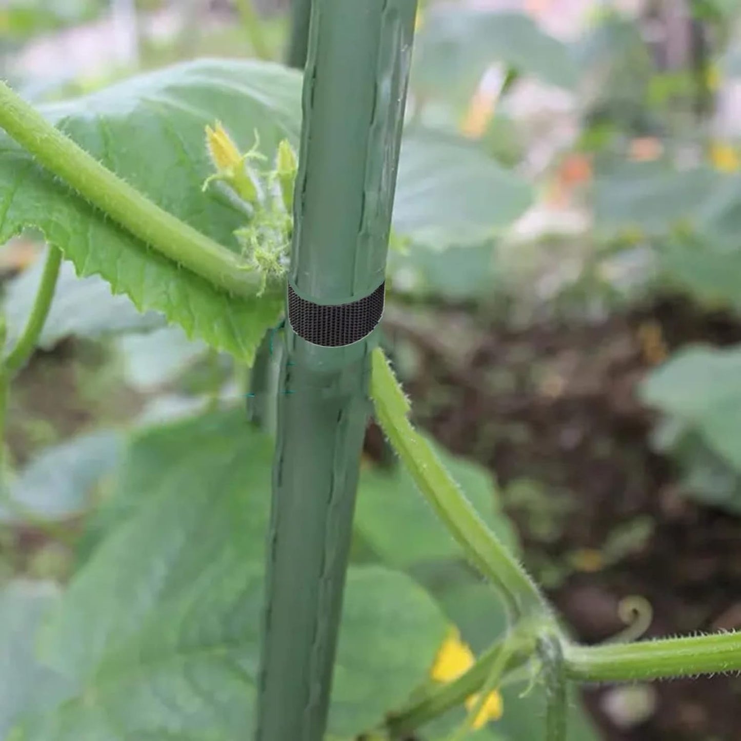 Plant Ties 65.6 Feet, Plant Tape Reusable Nylon Hook and Loop Tape, Garden Strap for Climbing Plants Supports, Tree Ties for Flower Vine Tomato Branches, Cable Wire (Black)