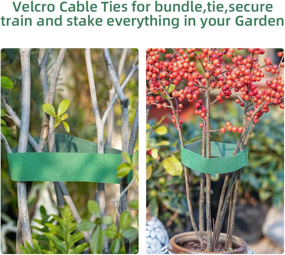 Plant Clips Plant Ties Set, 50 FT Reusable Plant Ties and 100 PCS Support Clips for Climbing Plants Orchid Flower Stems Vines Tomato, Garden Plant Support Cables for Indoor OutdoorPlants