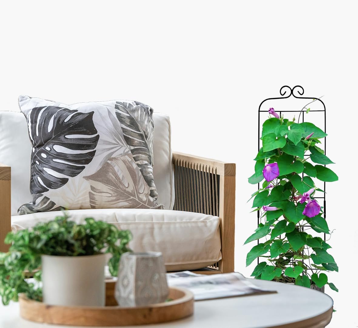 4 Pack 31'' Plant Trellis for Climbing Plants Indoor & Outdoor, Metal Trellis for Potted Plants, Plant Support for Houseplant, Vines, Pothos, Rose, Ivy, and Flowers, Black