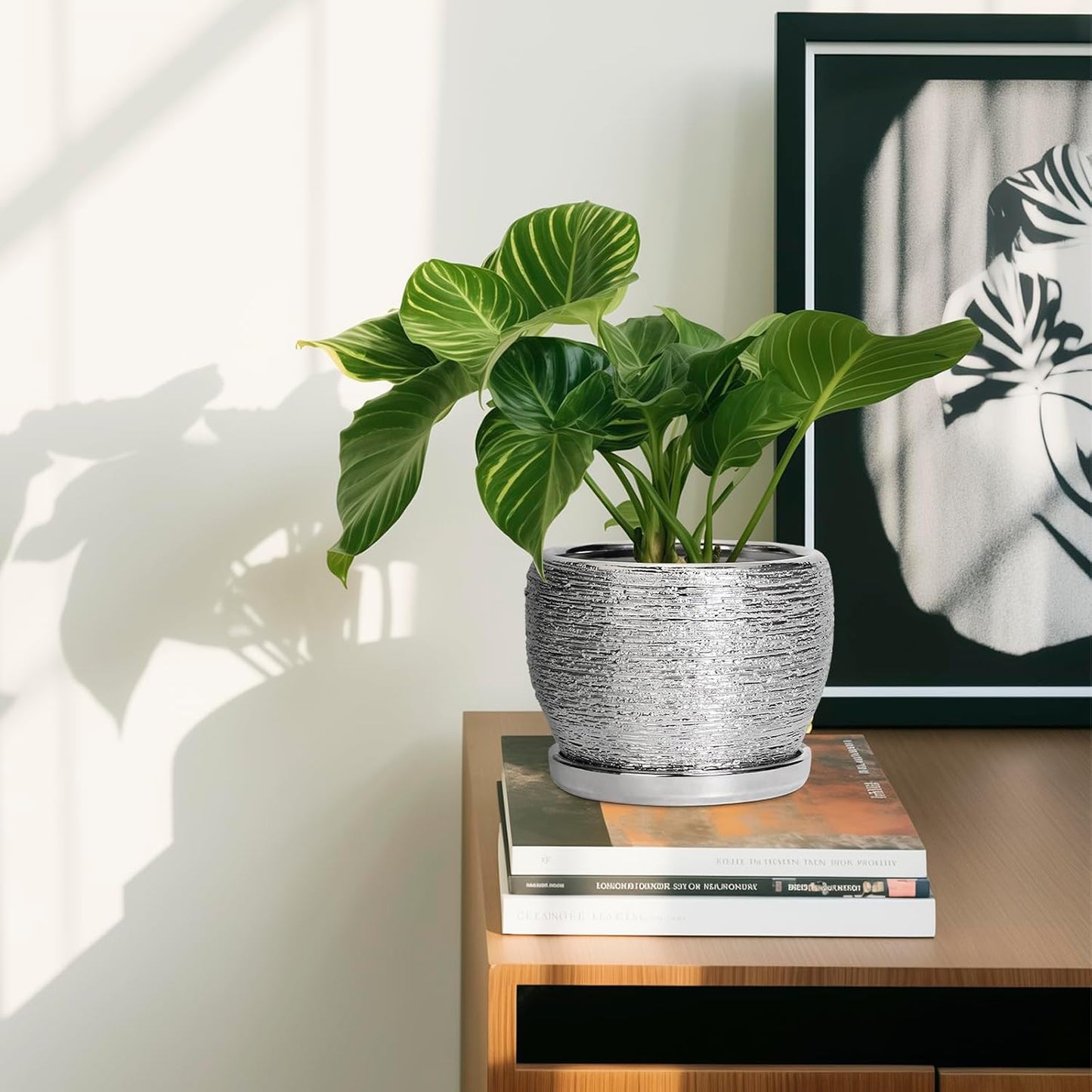 SQOWL Ceramic Plant Pots - 6 Inch Planter for Indoor Outdoor Plants, Modern Round Flower Pots with Drainage Hole and Saucer, Decorative Small Planter, Office Decor, Gifts for Women Men, Silver