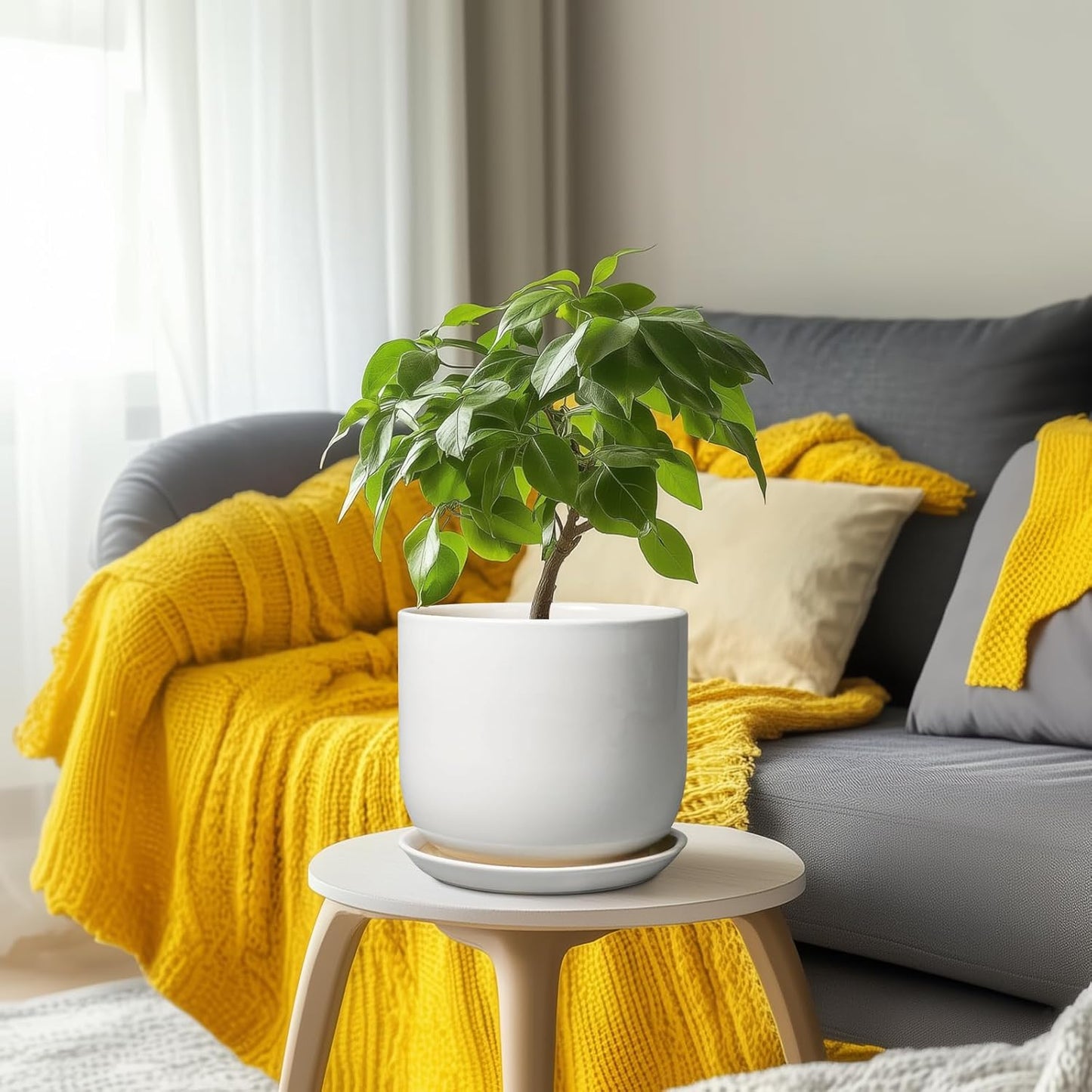 Ceramic Plant Pot - Modern 8 Inch Round Planter for Indoor Outdoor Plants with Drainage Hole and Saucer, Home House Room Office Decor, White