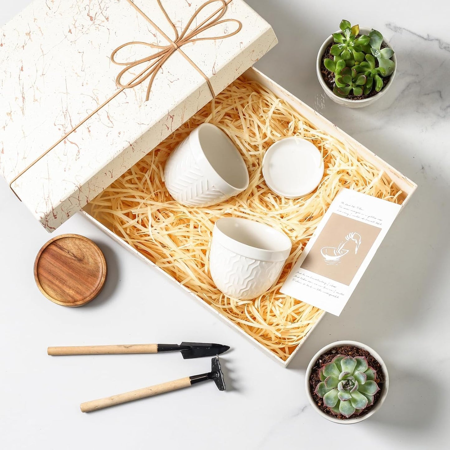 Sureasy Succulent Pots, 3.5 Inch Flower Pots for Indoor Plants, Small Plant Pots with Saucer & Drainage, Decorative Ceramic Planters for Succulent, Cactus, Set of 4, White