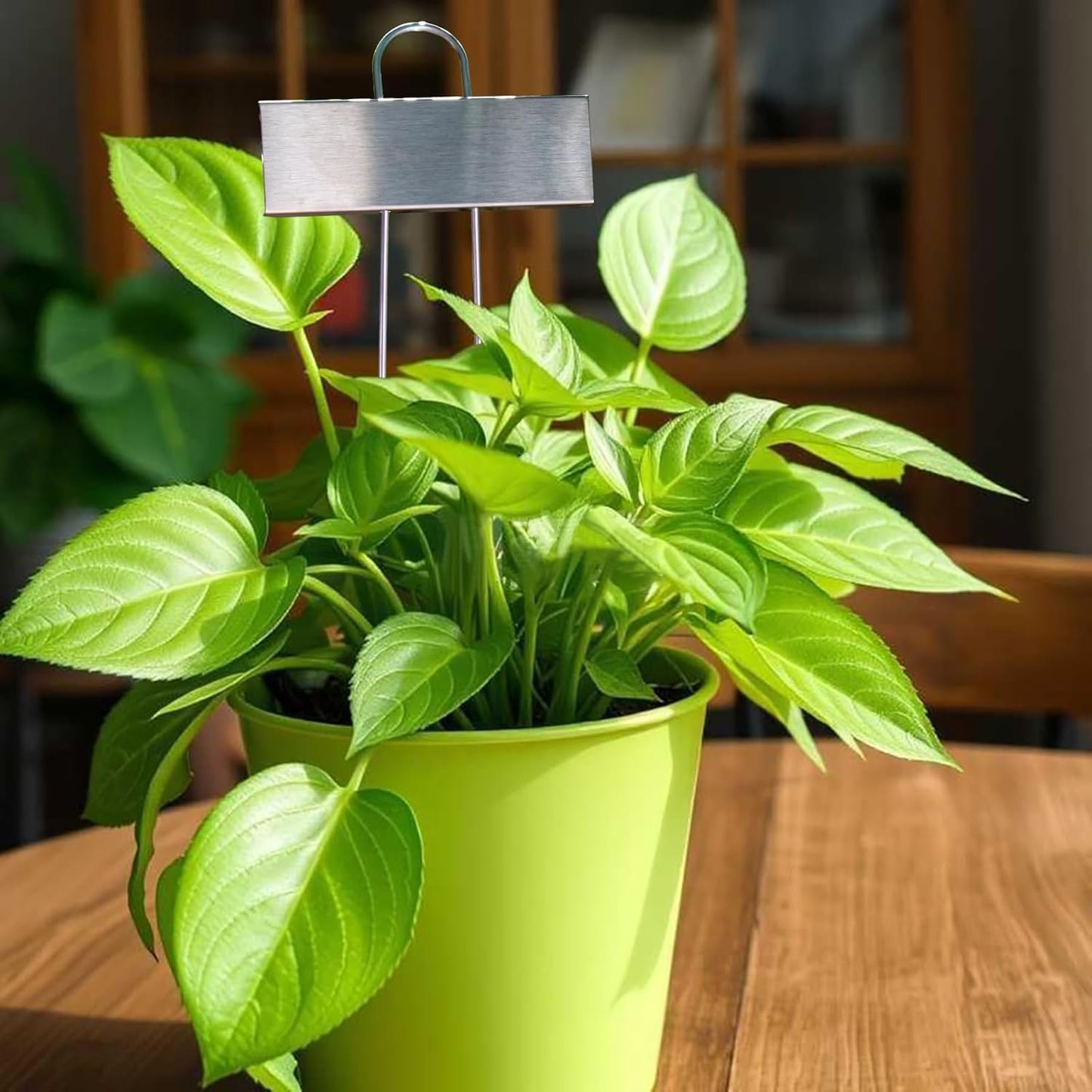 Plant Labels Metal Stainless Steel Garden Plant Markers Weatherproof Garden Stake Tag Plant Tags with Pen for Outdoor Seedling Flower Herb Vegetable Greenhouse(30 Pack) (Stainless Steel)