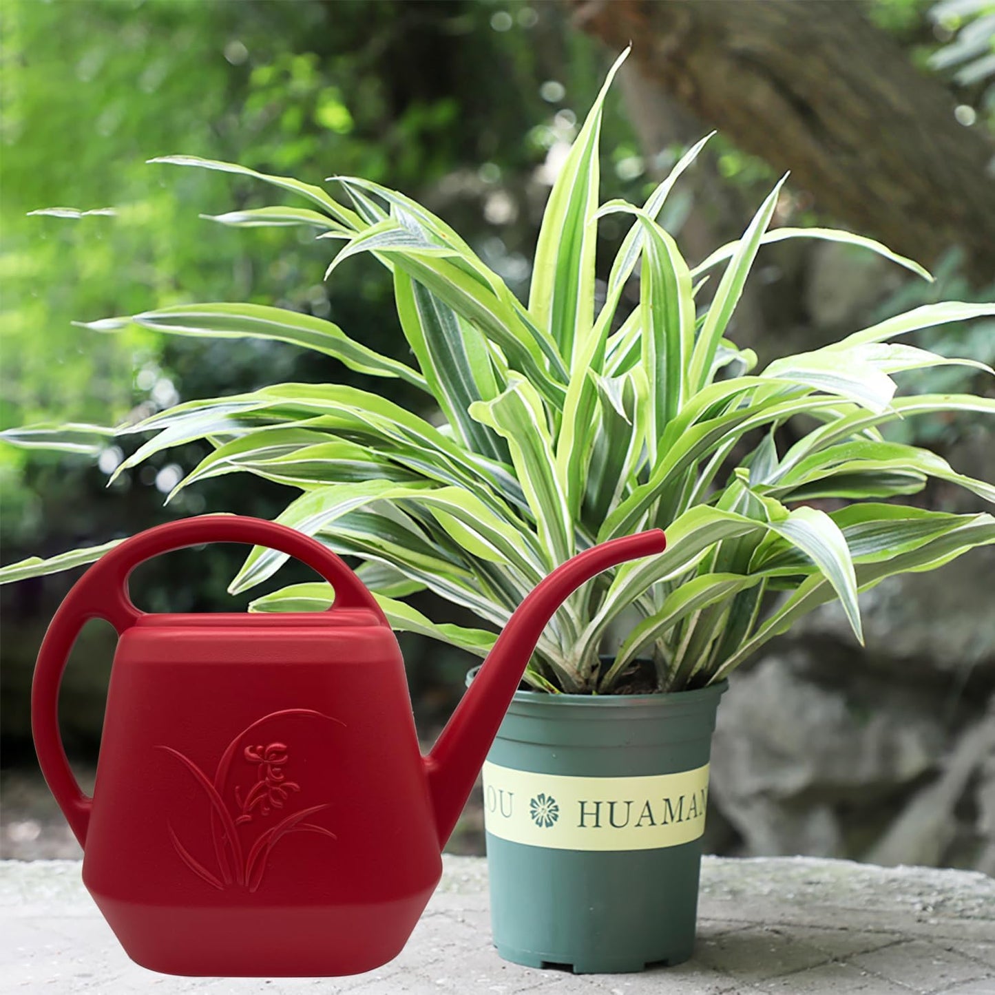Plant Watering Can - 1 Gallon - Wine Red - with Long Spout for Indoor and Outdoor Plant Garden