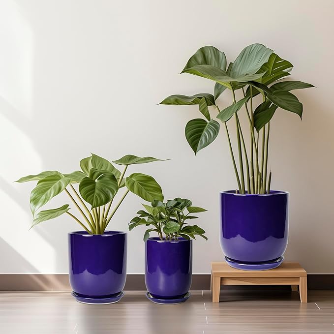 Ceramic Plant Pot - 8 Inch Planter for Indoor Plants Outdoor Flower Pot with Drainage Hole and Saucer Home Patio Office Decor Blue