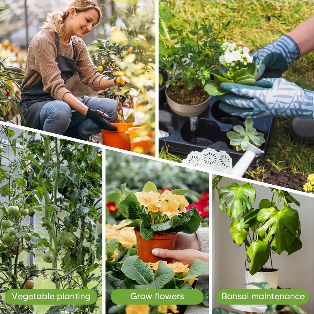 5 Pack Stackable Monstera Plant Support Stakes, Garden Plant Stakes for Indoor and Outdoor Plants, Moss Poles Holder Stick Monstera Plant Stem Supports Structures for Climbing Potted Plants (10 Pack)