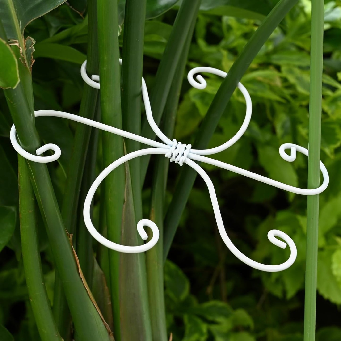 6.5 * 6.5in Monstera Plant Support Hook 5PCS - Durable Stabilizer & Leaf Holder for Indoor Plants, Flexible Installation & Soft Grip Design - Perfect for Fishbone Cactus and Other Houseplants