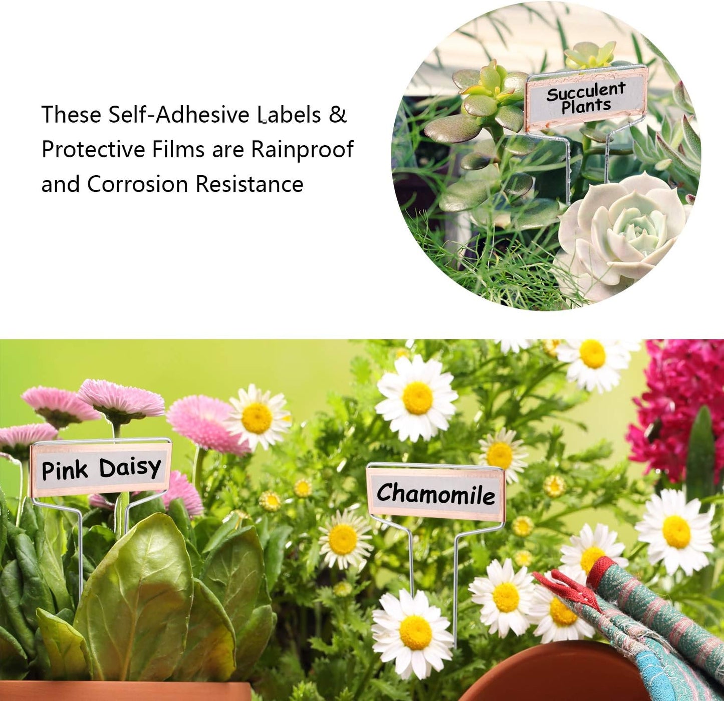25PCS Copper Metal Plant Tags Plant Labels with 50Pcs Labels, Rainproof PET Film & Permanent Pen, 5 inch Weatherproof Banner Garden Markers, Marking Protection Seedling Signs Nursery Tags