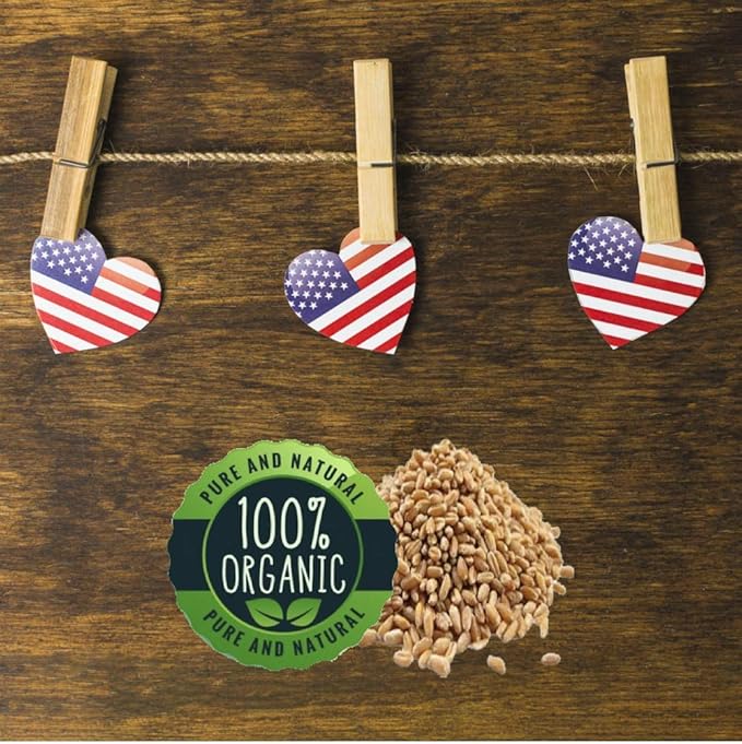 Easy Cat Grass Kit (3 Pack) Just Add Water. Includes Certified Organic Non GMO Wheatgrass Seed, Fiber Soil, Cups Chalkboard Labels. Your Pets Will Love This