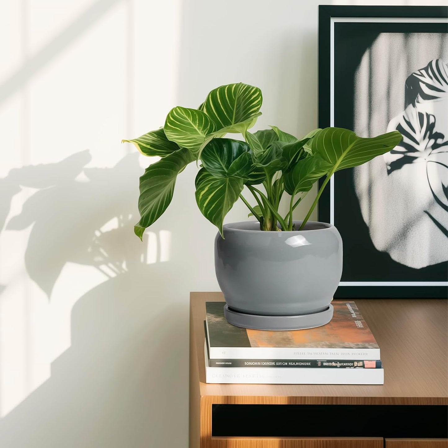 SQOWL 6 Inch Plant Pots - Ceramic Planter with Drainage Hole and Saucer, Round Ceramic Flower Pot Indoor Outdoor, Modern Succulent Planter, Bathroom Decor, Gifts for Plant Lovers, Grey