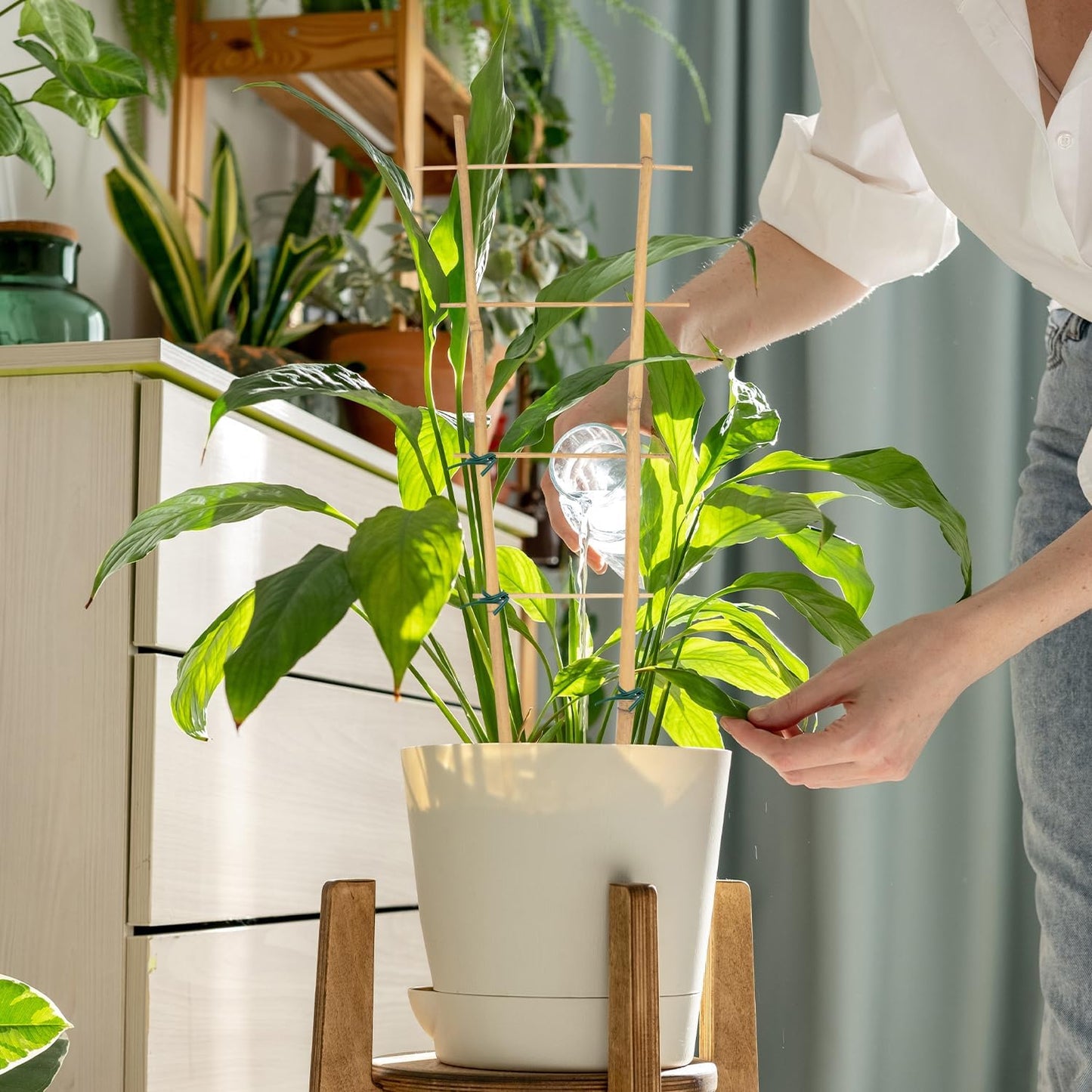 Bamboo Trellis 16" Ladder Vertical Gardening Plant Trellis for Climbing Plants Orchid Monstera and Indoor Potted Plants-6 Pack