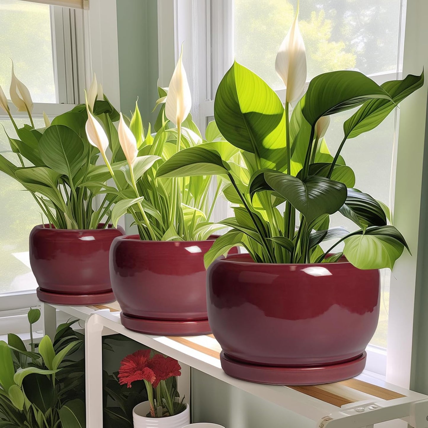 SQOWL Ceramic Planter - 8 Inch Plant Pot with Drainage Hole and Saucer, Round Planter for Indoor Outdoor Plants, Modern Decorative Flower Pots, Home Decor, Plant Lover Gifts, Red