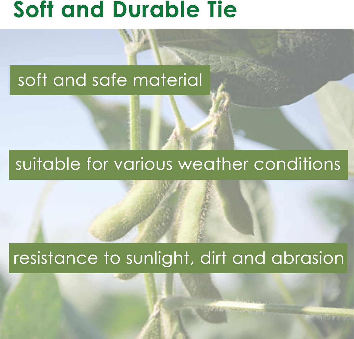 Soft Plant Tie Garden Plant Twist Tie TPR Plant Supply, for Supporting and Fixing Garden Planting Branches Vines, Stems, for Garden, Office, Home Organizing (65.6ft /3.5mm Diameter, Green)