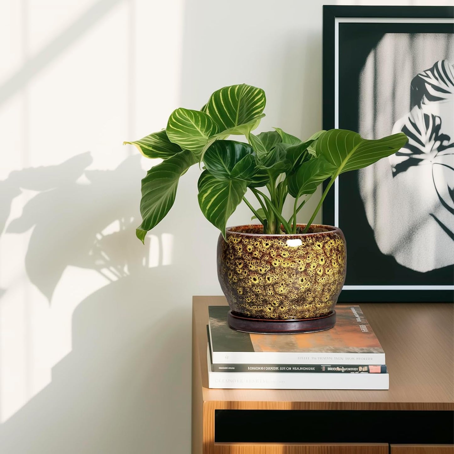 SQOWL 6 Inch Plant Pot - Ceramic Flower Pots with Drainage Hole and Saucer, Ceramic Planter for Indoor Plants Outdoor, Round Decorative Small Planter, Table Desk Decor, Housewarming Gifts, Yellow