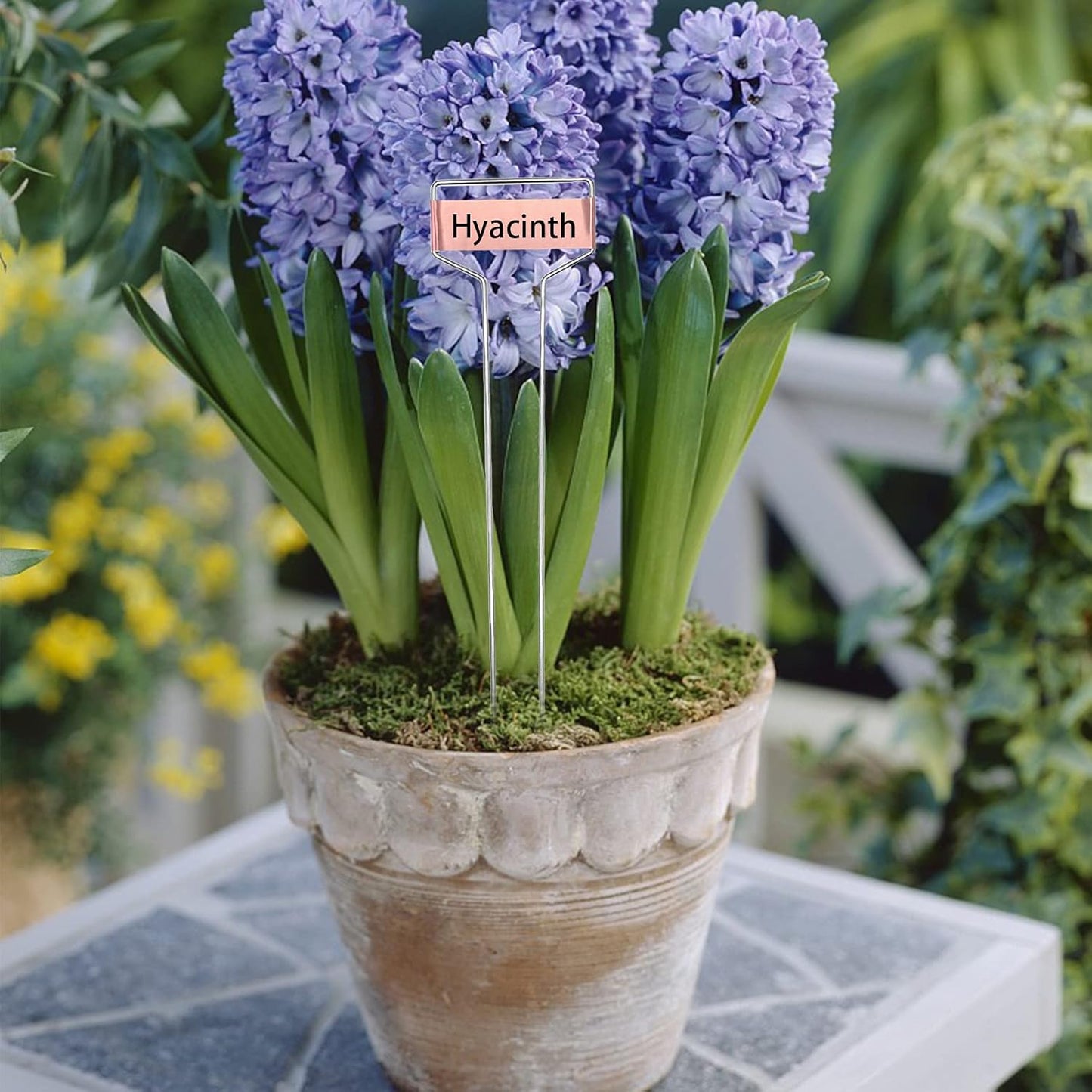 Wehhbtye 20 PCS 10 Inch Metal Plant Label Stakes-Copper Metal Plant Tags,High Copper Plate Plant Labels,Coppers Plant Tags with 1 Maker Pen for Flowers, Vegetables, Seedlings, Seed,etc