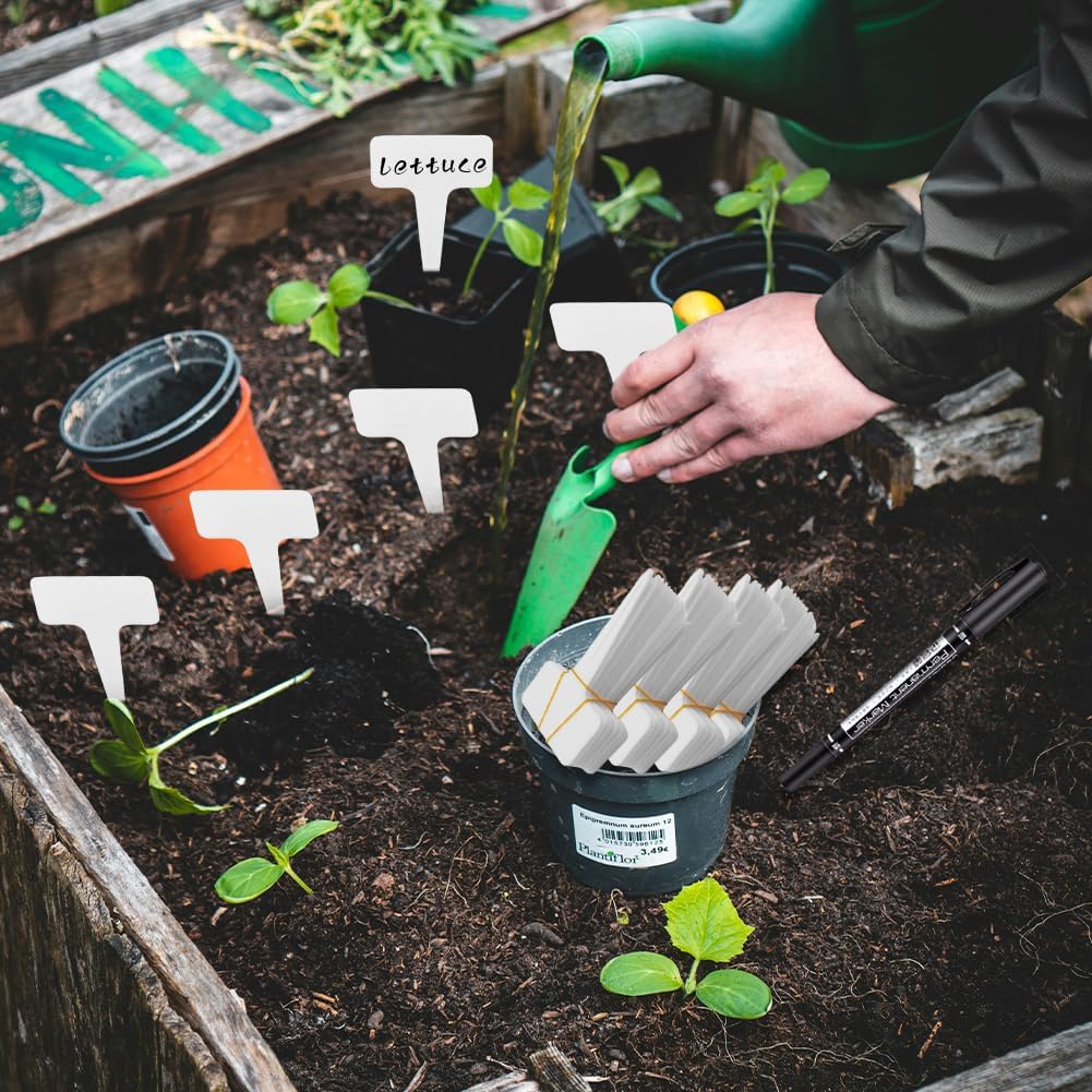 200 Pcs Thick Plastic Plant Labels, Seed Remark Name Sign, Waterproof Flower Potting Name Markers, T-Type Tags Nursery Garden Labels Re-Usable Plant Tags for Outdoor Garden