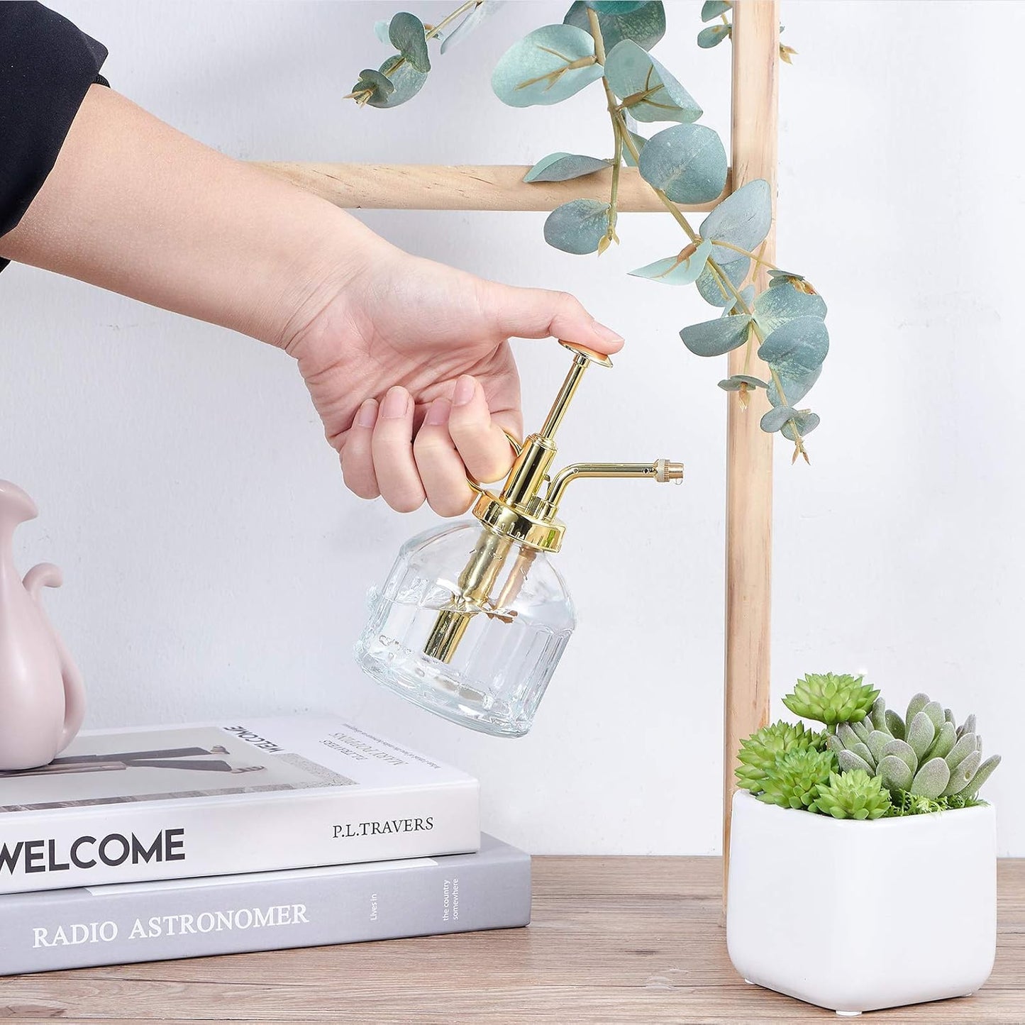 Glass Plant Mister Spray Bottle, Succulent Watering Bottle with Golden Top Pump, Vintage Plant Spritzer, Decorative Water Sprayer Small Watering Can for Indoor Outdoor Houseplant - Clear