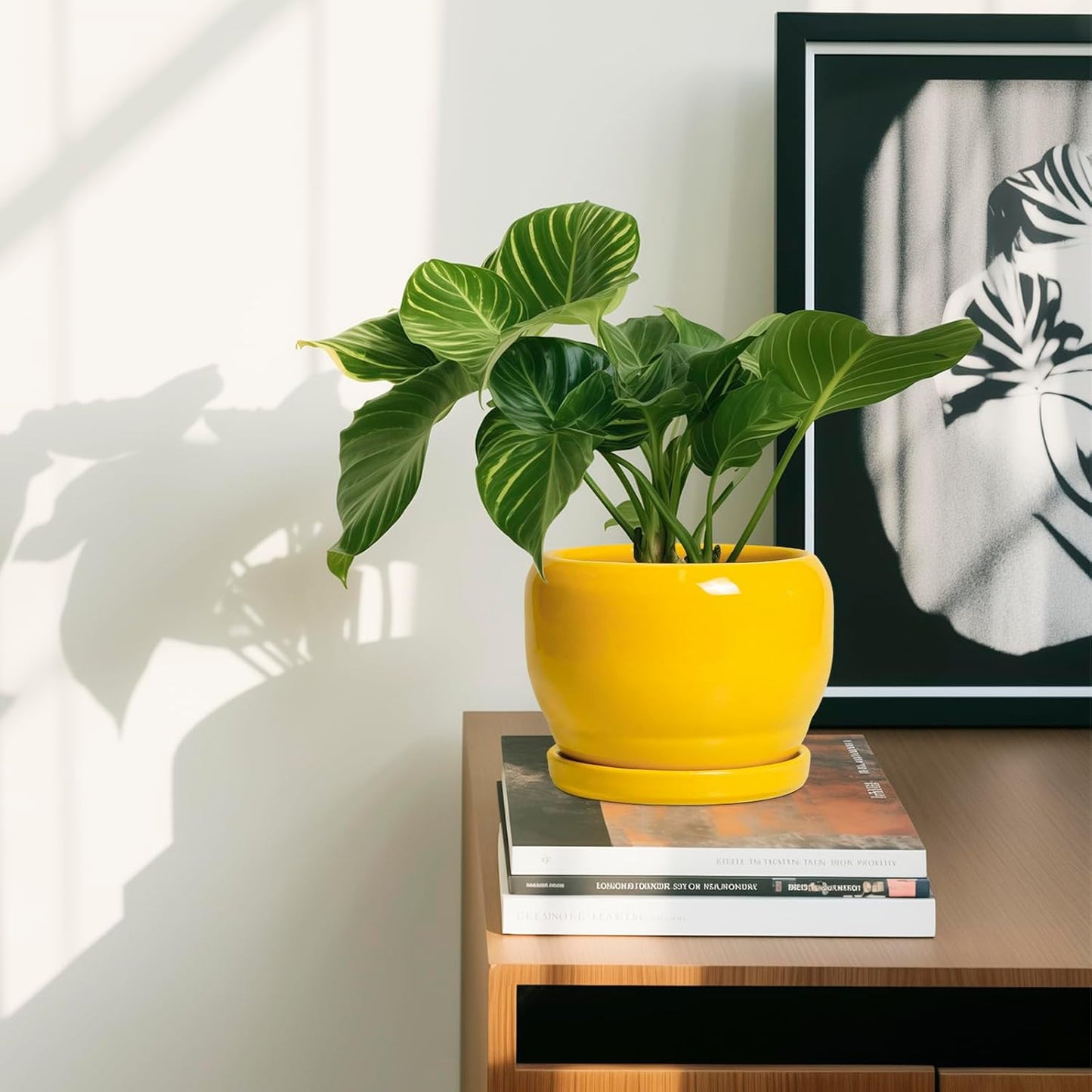 SQOWL 6 Inch Plant Pot - Ceramic Planter with Drainage Hole and Saucer, Modern Ceramic Flower Pots for Indoor Plants Outdoor, Round Decorative Small Planter, Desk Decor, Garden Gifts, Yellow