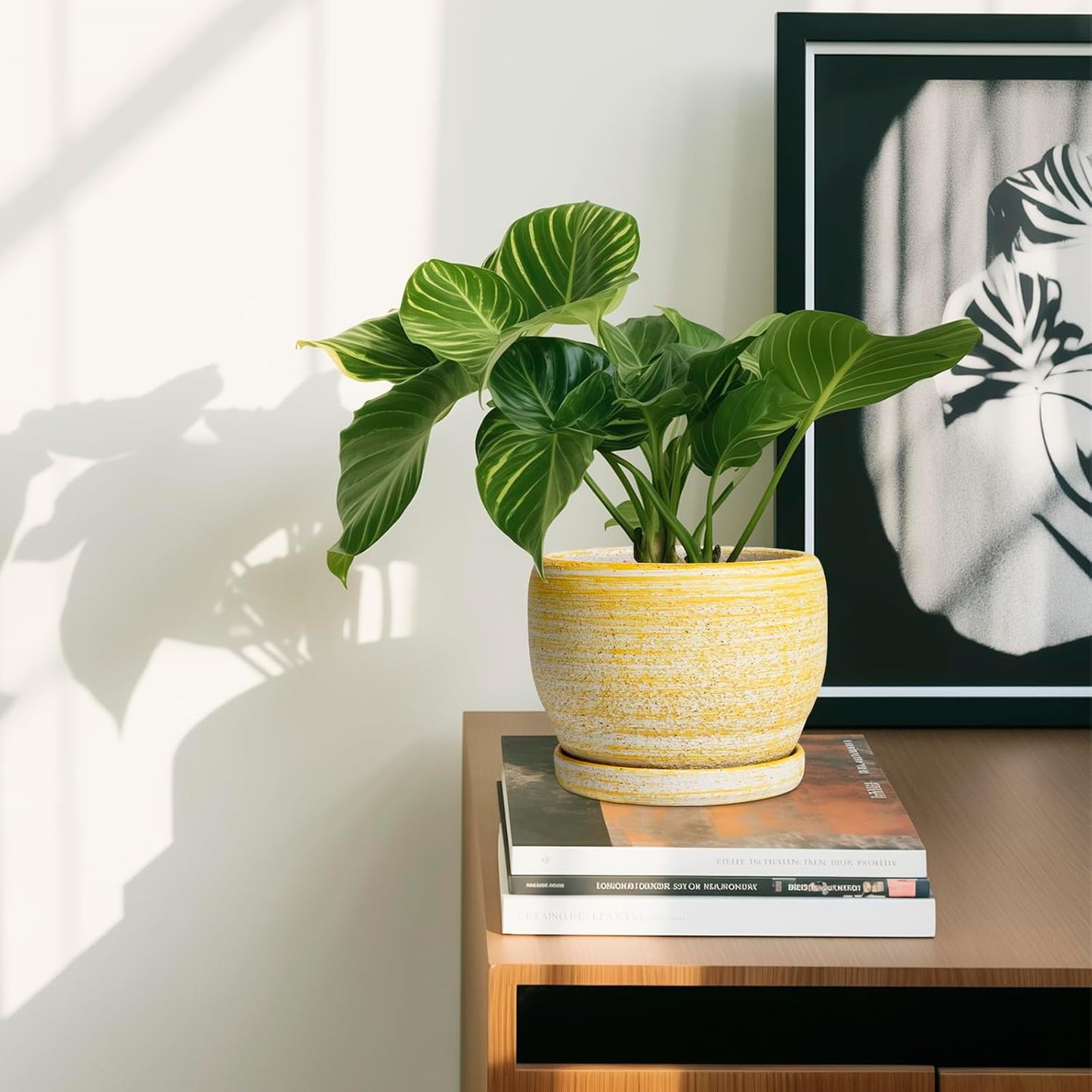 SQOWL Ceramic Planter - 6 Inch Plant Pot Indoor with Drainage Hole and Saucer, Decorative Ceramic Flower Pot Outdoor, Round Succulent Planters, Home Office Bedroom Decor, Birthday Gifts, Yellow