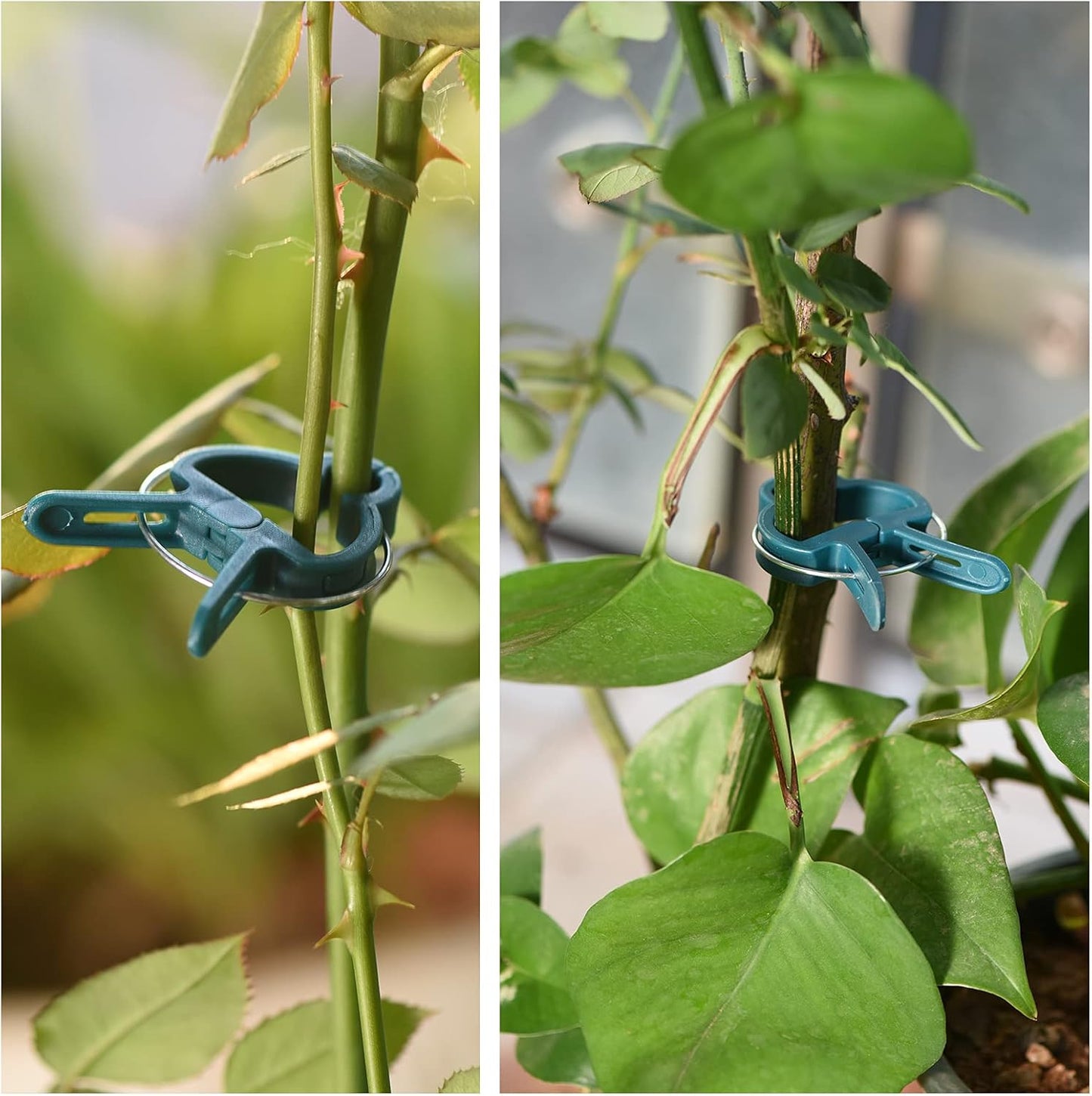 Plant Support Clips, 80 PCS Gentle Flower Plant Clamps for Supporting Vine Climbing Plants, Gardening Lever Loop Gripper Clips Help Stems Vines Grow Straight Upright, 2 Sizes in one Pack