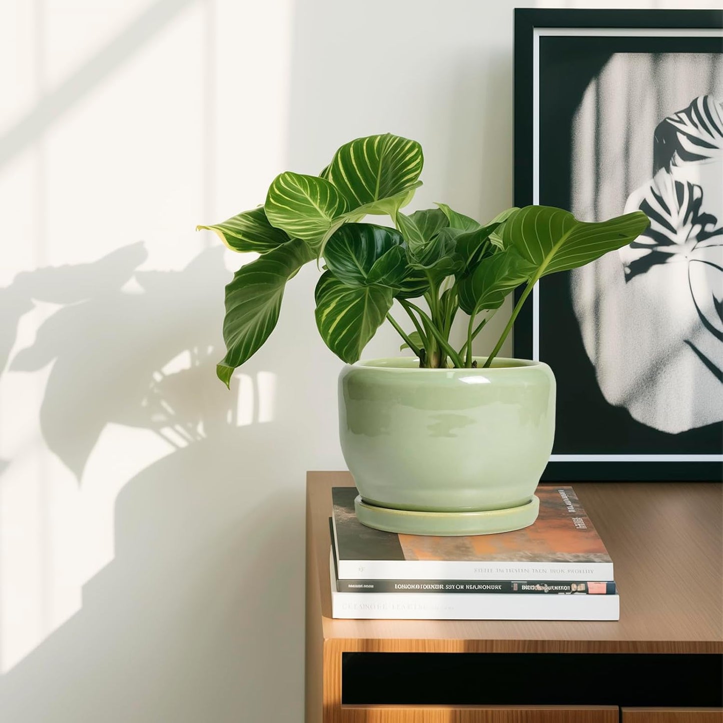 SQOWL Ceramic Pot for Plants - 6 Inch Planter for Indoor Outdoor Plants, Round Decorative Flower Pot with Drainage Hole and Saucer, Modern Small Planter, Patio Decor, Garden Gifts, Green