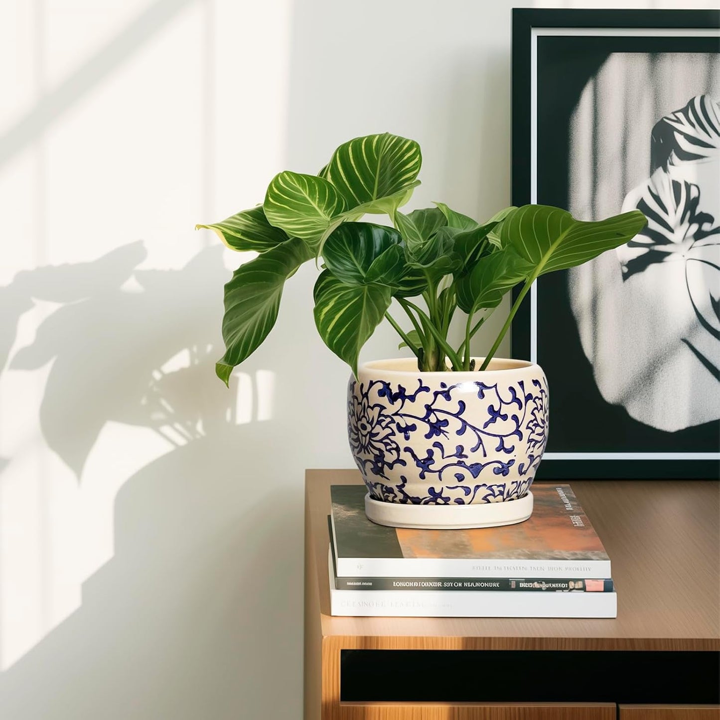 SQOWL Ceramic Flower Pots - 6 Inch Plant Pot Indoor with Drainage Hole and Saucer, Porcelain Ceramic Planter Outdoor, Decorative Round Small Planter, House Decor, Plant Lover Gifts, Blue and Beige