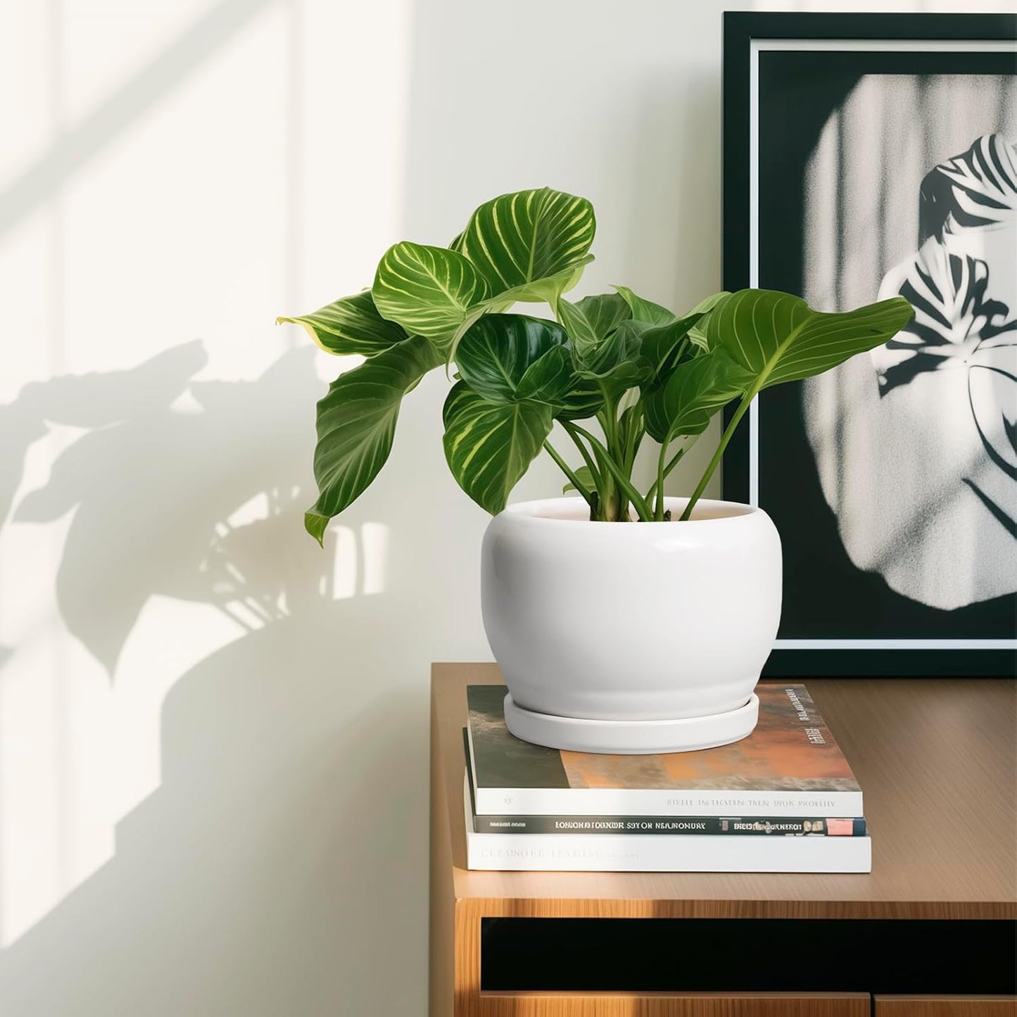 SQOWL Ceramic Flower Pots - 6 Inch Plant Pot Indoor Outdoor, Ceramic Planter with Drainage Hole and Saucer, Modern Round Succulent Planter, Bookshelf Decor, House Warming Gifts New Home, White