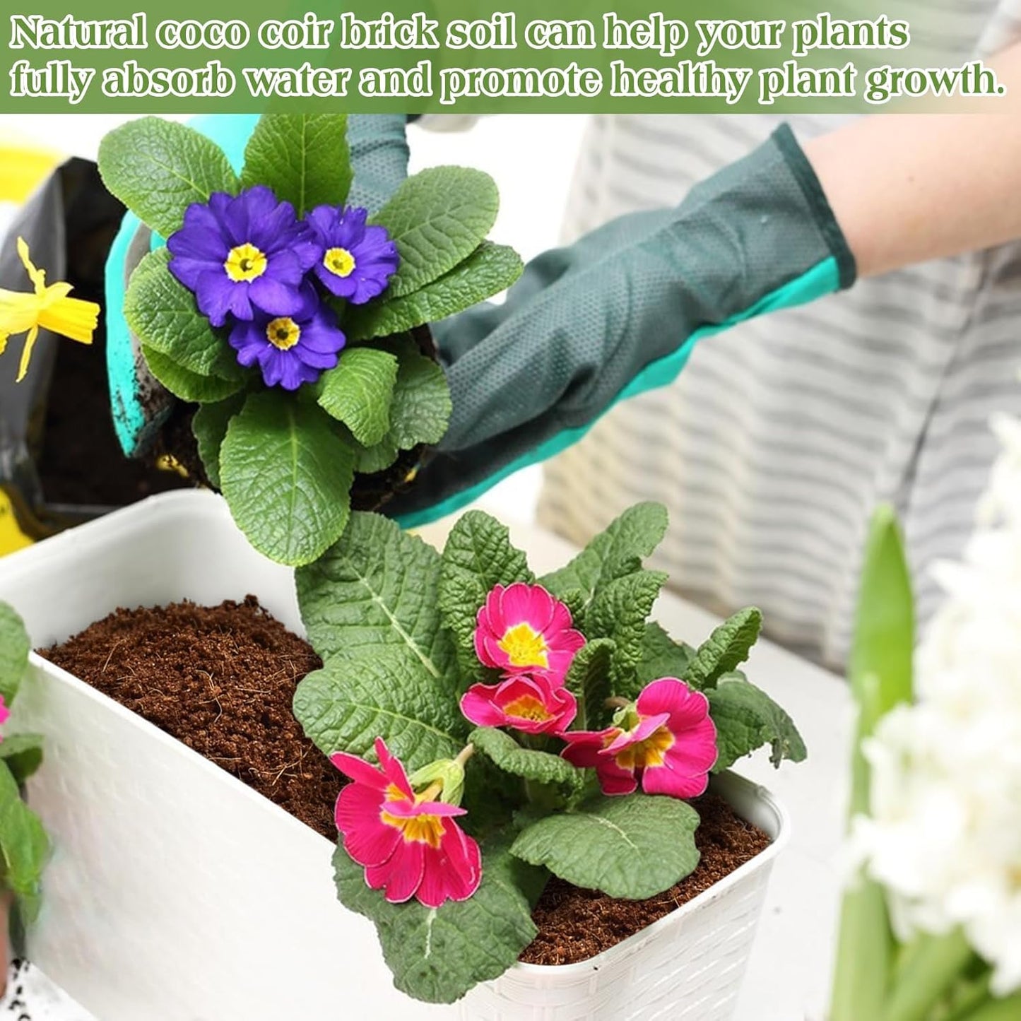 ZeeDix 10LB Premium Coconut Coir-Compressed Coco Coir Potting Soil Substrate-100% Organic Coco Coir Brick,High Expansion Coconut Fiber Coir Pith with Low EC and pH Balance for Plants Gardening Herbs