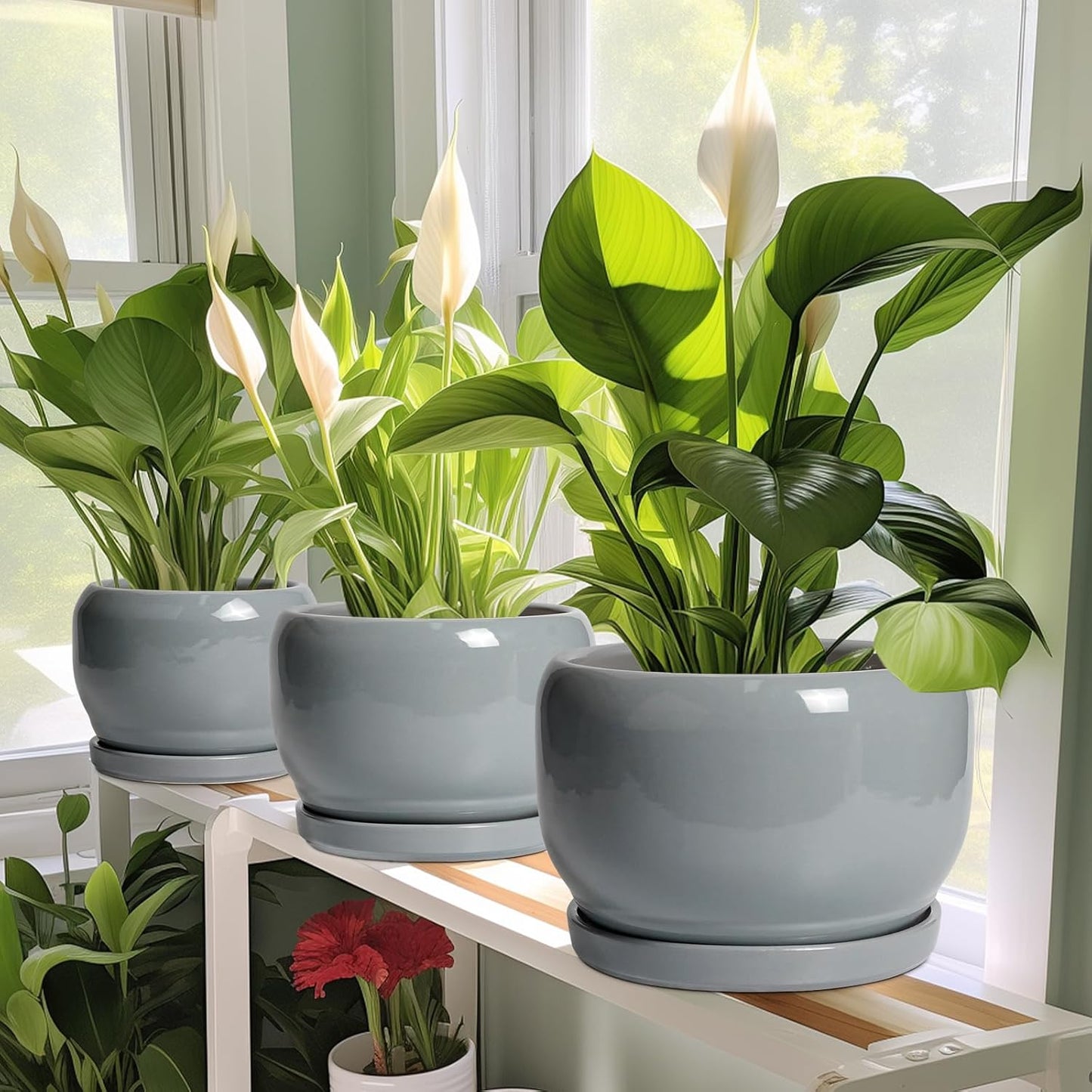 SQOWL Ceramic Pot for Plants - 8 Inch Plant Pot Indoor with Drainage Hole and Saucer, Round Planter Outdoor, Decorative Modern Planter for Flower, Bedroom Decor, Plant Lovers Gifts, Gray