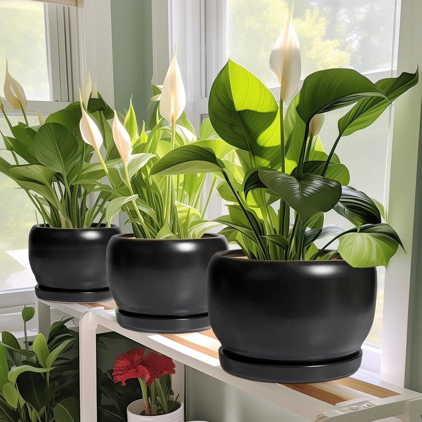 SQOWL Ceramic Flower Pot - 10 Inch Planter with Drainage Hole and Saucer, Modern Large Plant Pot Indoor Outdoor, Decorative Round Planter, Bedroom Decor, Gifts for Plant Lovers, Black