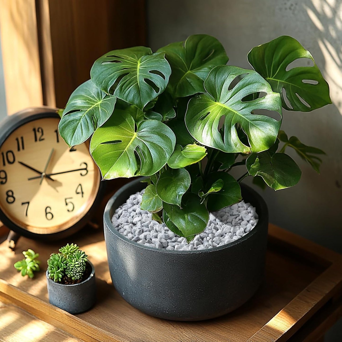 10LB Grey Tumbled Decorative Gravel – 1/5 Inch Unpolished Natural Stones for Planters, Succulents, and Vase Fillers, Perfect for Gardening and Landscaping Projects