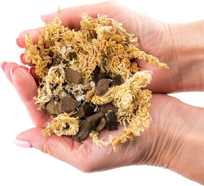 Premium Sphagnum Moss, Perlite and New Zealand Pine Bark Blend for Carnivorous Plants - 10 Quart - Perfect for Venus Fly Traps, Pitcher Plants, Sarracenia, Butterworts, and Sundews by GARDENERA