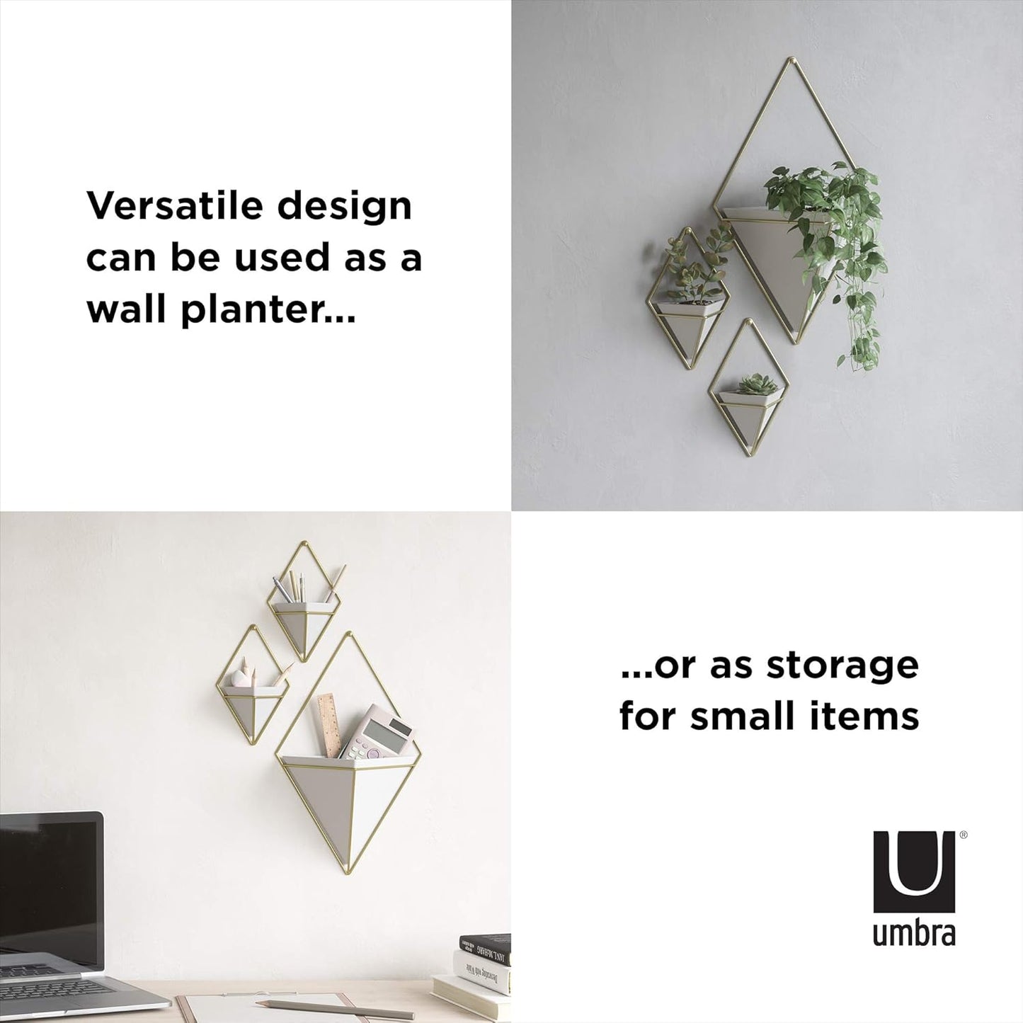 Umbra Trigg Hanging Planter Vase & Geometric Wall Decor Container - Great for Succulent Plants, Air Plant, Mini Cactus, Faux Plants and More, White Ceramic/Brass