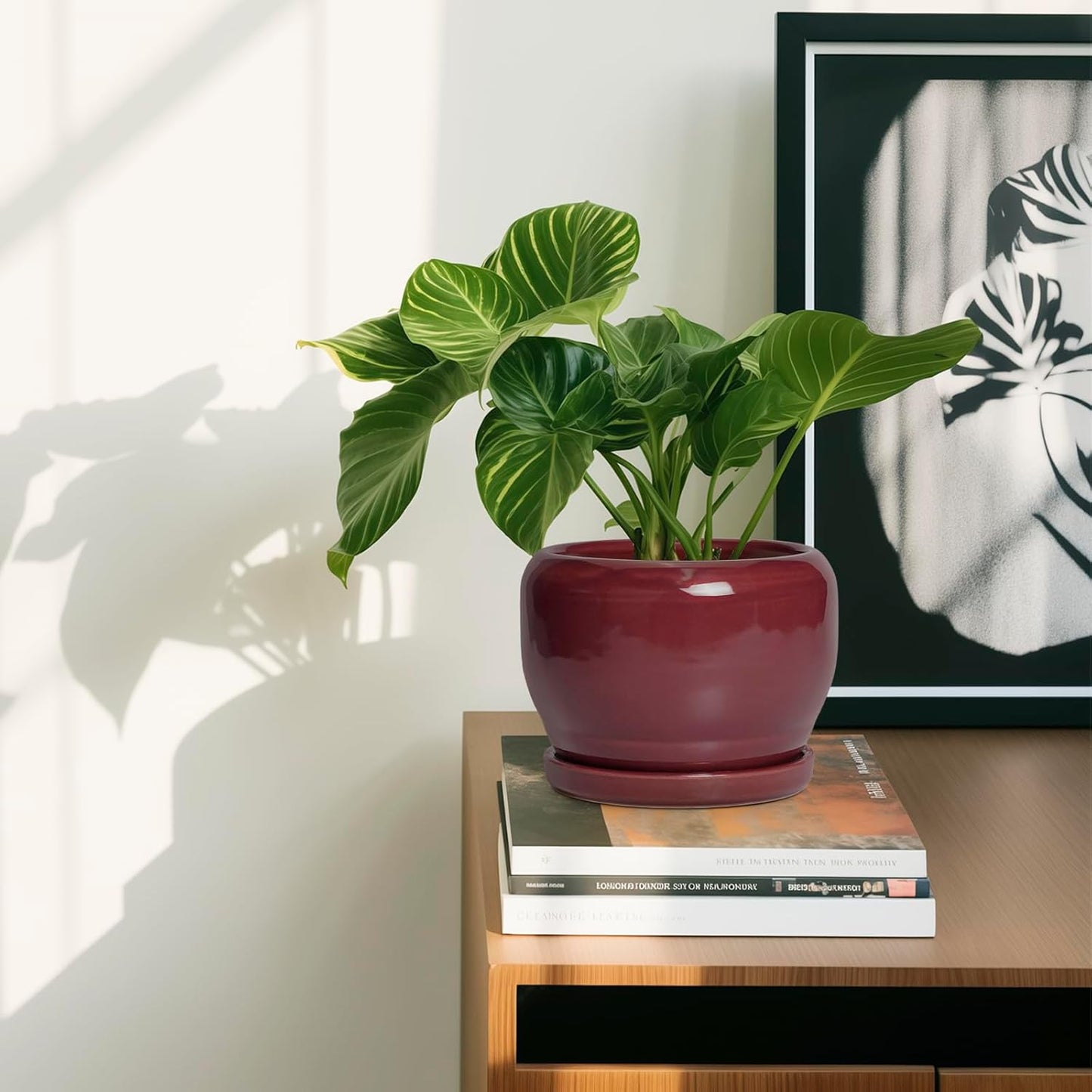 SQOWL 6 Inch Plant Pot - Ceramic Planter for Indoor Plants Outdoor, Round Planter with Drainage Hole and Saucer, Decorative Modern Small Flower Pots, Room Decor, Gifts for Plant Lovers, Red