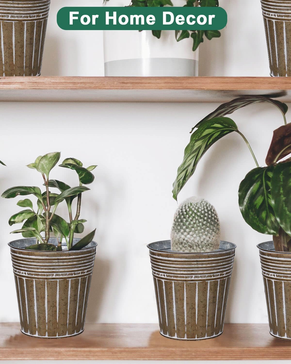 6 Inch Brown Metal Rustic Flower Pots - 6Pcs Galvanized Planters with Drainage Hole and Rubber Plug, Rustproof Small Metal Bucket Plant Pots Farmhouse Vintage Style for Decor