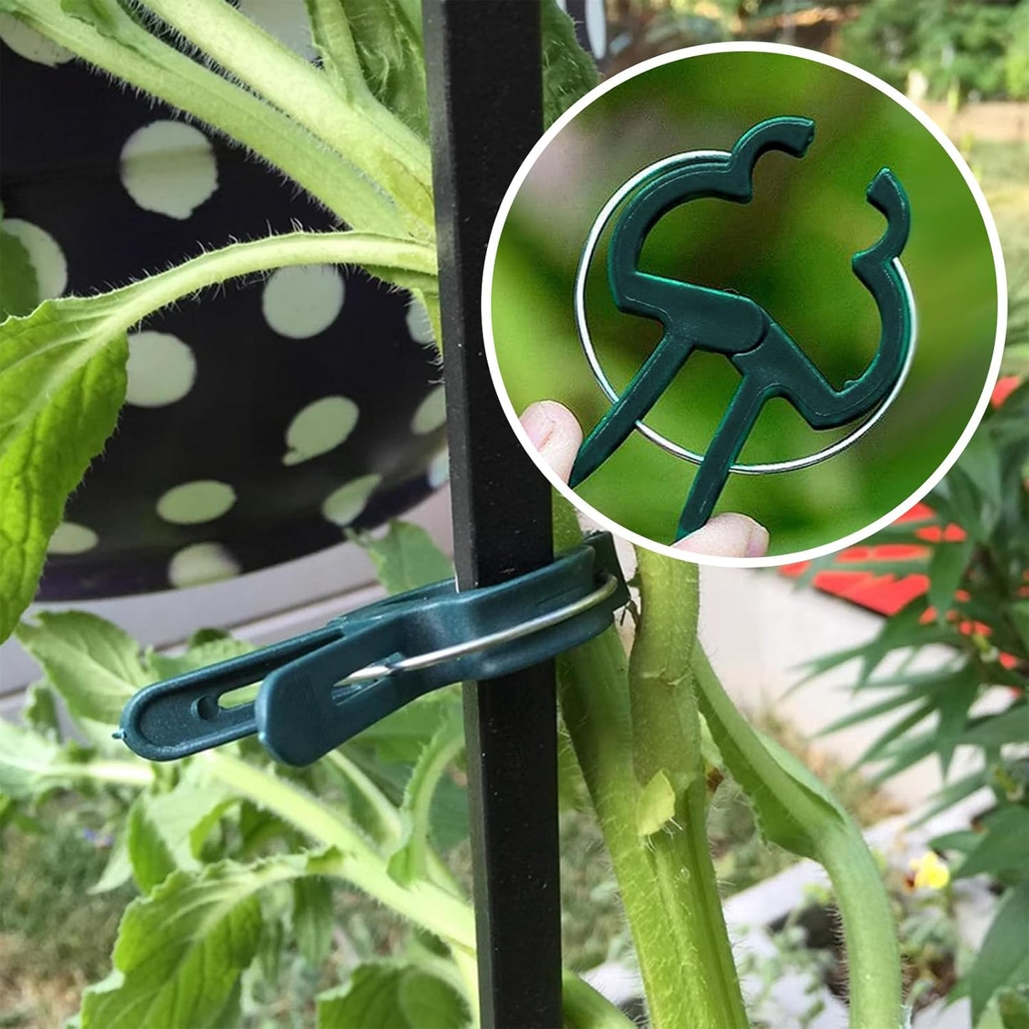 Plant Clips for Climbing Plants, Tomato Clips and Garden Clips for Vine Support, Plant Support Clips for Tomatoes and Garden use(Green, 60 Big)
