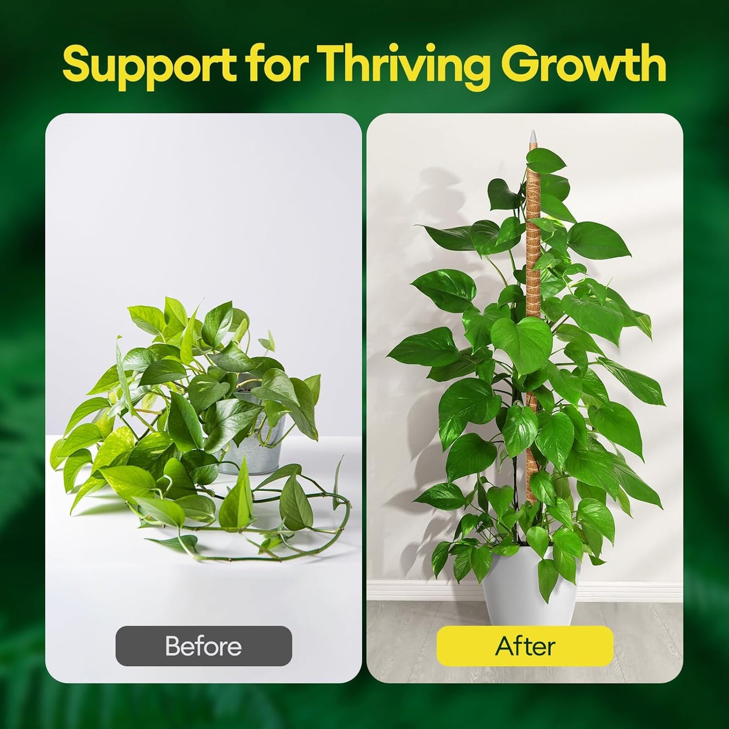 3-Pack 48” Bendable Moss Pole Monstera Plant Support for Climbing Indoors Plants, Coir Moss Poles Moss Sticks Plant Pole DIY, Plant Support Stake for Potted Plants