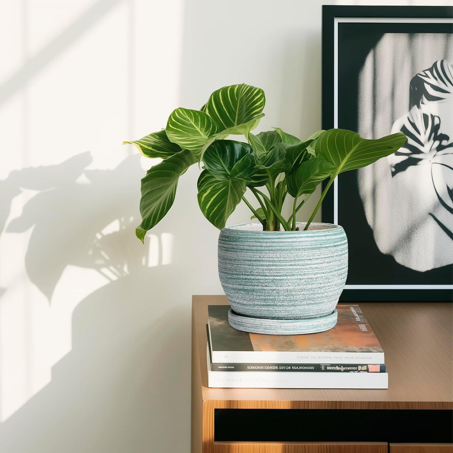 SQOWL Ceramic Plant Pots - 6 Inch Planter with Drainage Hole and Tray, Round Flower Pot for Indoor Plants, Decorative Succulent Planter Outdoor, Home House Decor, Gifts for Women Men, Green