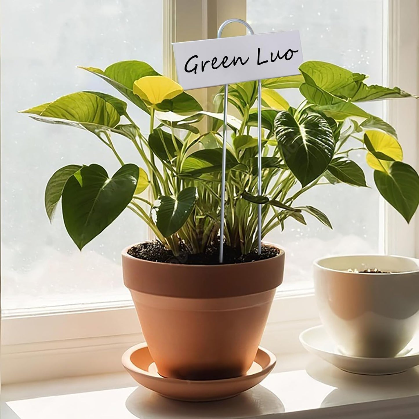 Plant Labels Metal Stainless Steel Garden Plant Markers Weatherproof Garden Stake Tag Plant Tags with Pen for Outdoor Seedling Flower Herb Vegetable Greenhouse(30 Pack) (White)