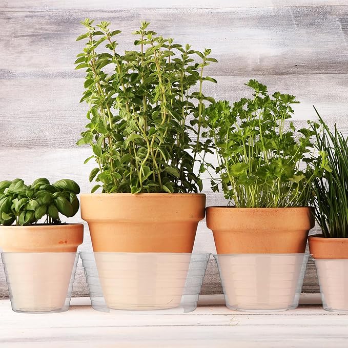 Hoolerry Plastic Plant Saucer Clear Deep Drip Tray Thickened Clear Plant Saucers Trays for Pots Deep Drip Trays for Home Garden Indoor and Outdoor Potted(20 Pcs,6, 8, 10, 12 Inch)